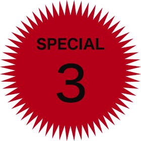 SPECIAL 3